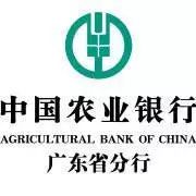 中国农业银行广东省分行